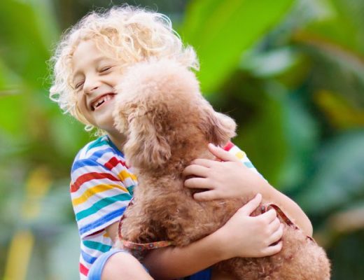 Convivencia niños y mascotas