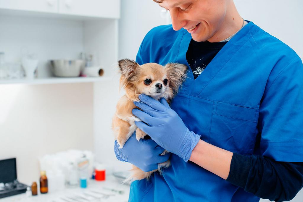 Ayudante de veterinario con gatito